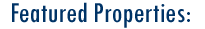 13.gif (1306 bytes)